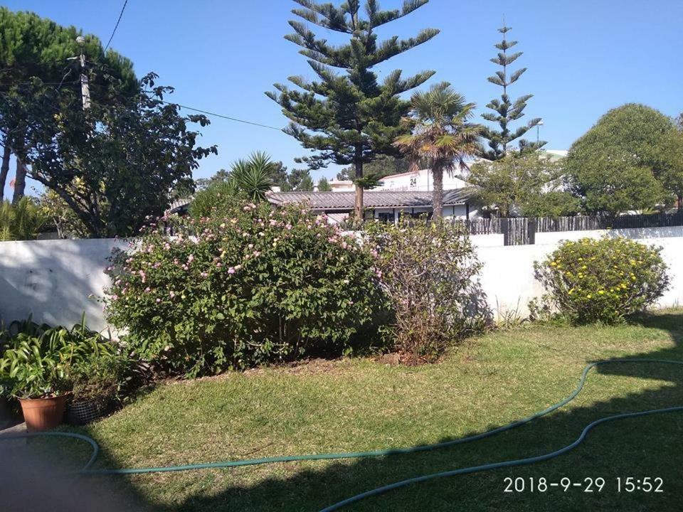 Casa Amarela Apartman Esmoriz Kültér fotó